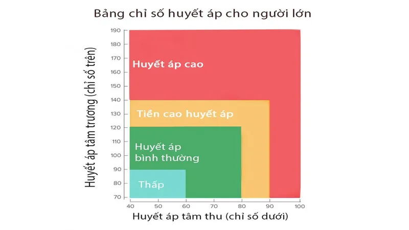 Đo huyết áp giúp đánh giá tình trạng hoạt động của hệ tim mạch