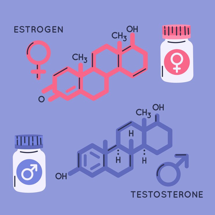 Lưu ý khi xây dựng thực đơn tăng estrogen