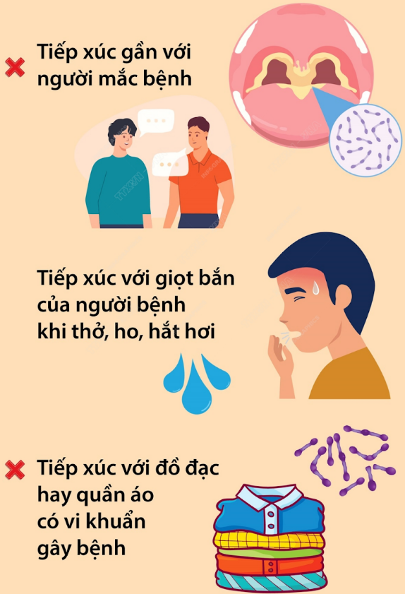 con đường lây truyền bệnh bạch hầu