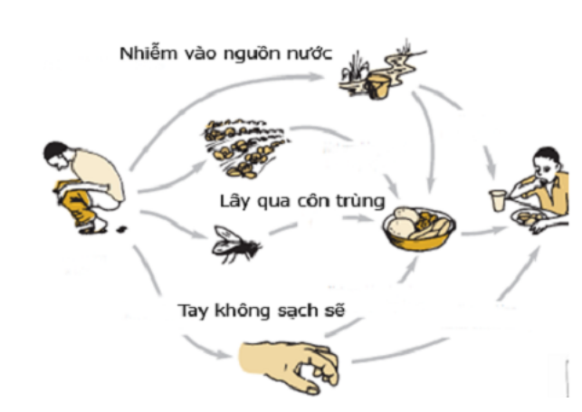 Con đường lây nhiễm viêm gan E