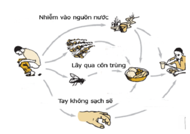Viêm gan E có dễ lây không? - Pharmacity