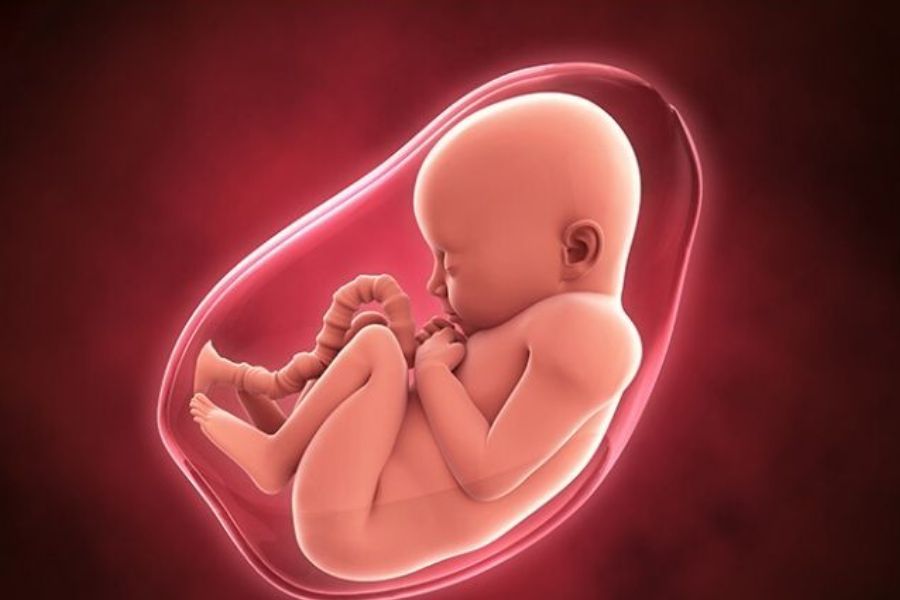 Chuẩn bị tâm lý thoải mái và đồ đạc sẵn sàng giúp mẹ tự tin hơn khi chuyển dạ ở tuần 38