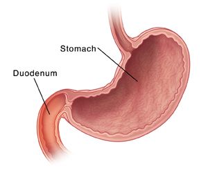 Tá tràng là phần đầu của ruột non, nằm ngay dưới dạ dày