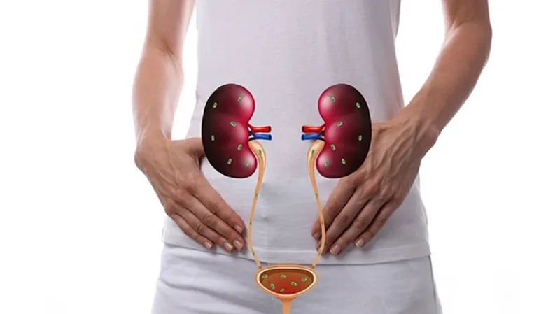 Tác dụng phụ không mong muốn nhiễm trùng đường tiết niệu