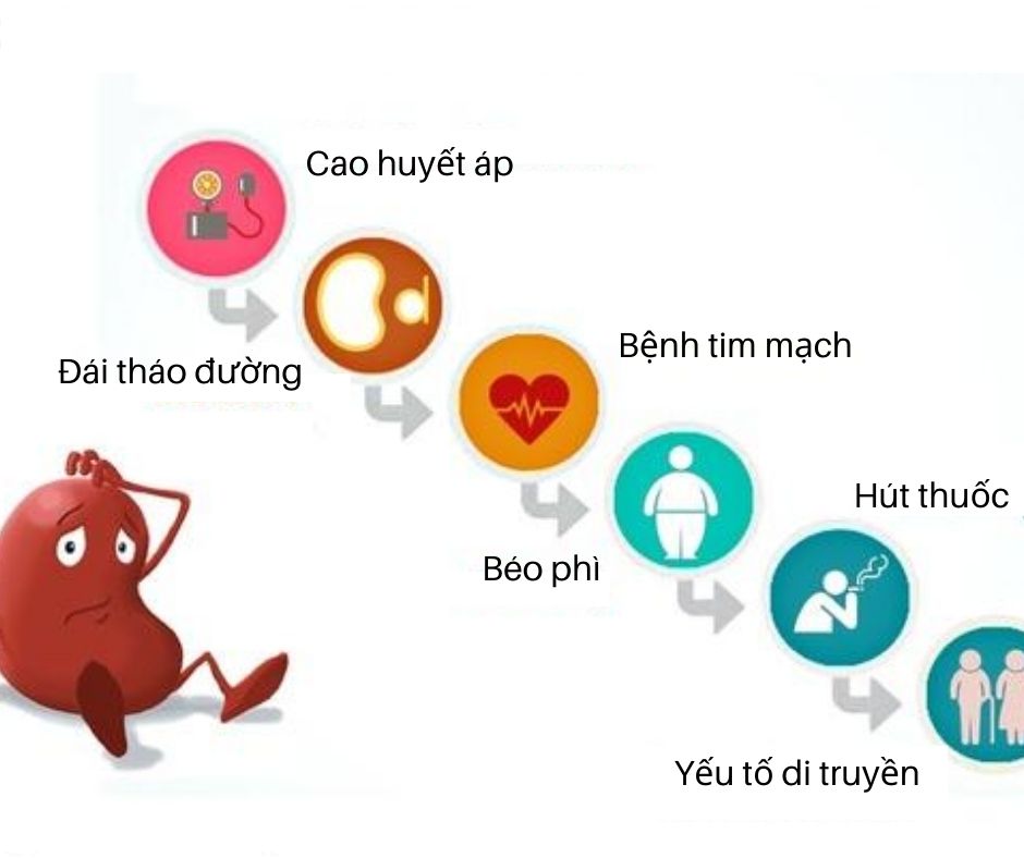 Các nguyên nhân dẫn đến suy thận 