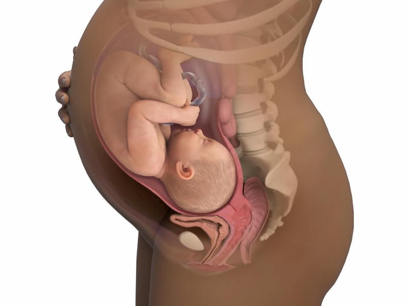 Các cơn gò tử cung ở tuần 39 thường xuyên xuất hiện để chuẩn bị cho quá trình chuyển dạ thực sự