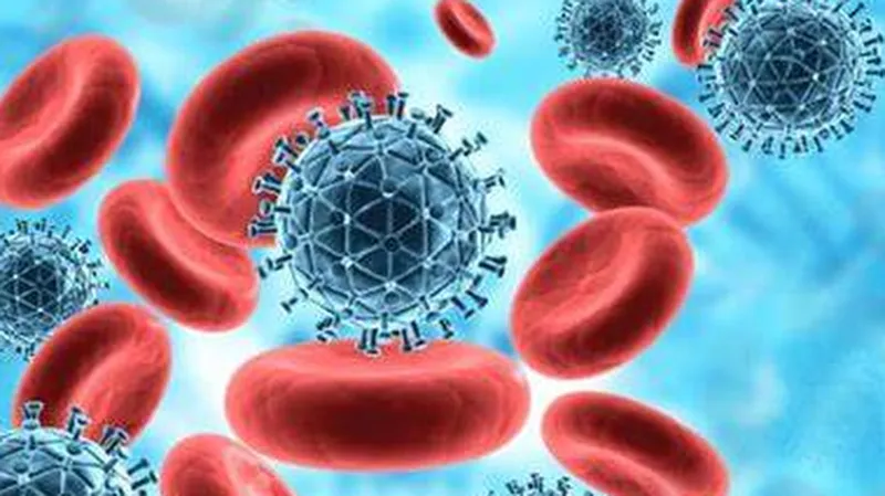 Sự phức tạp trong cấu trúc của HIV là thách thức lớn nhất cho các nhà khoa học 