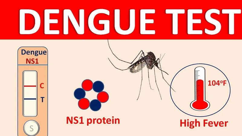 Test nhanh sốt xuất huyết dùng sắc ký miễn dịch tìm kháng nguyên NS1 và kháng thể IgM/IgG.