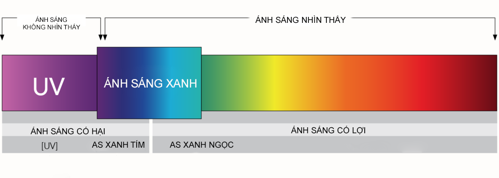 Mô phỏng vùng ánh sáng xanh