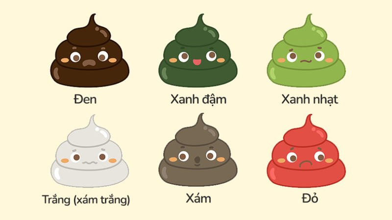 Hệ tiêu hóa của trẻ nhỏ chưa hoàn thiện nên phân có thể thay đổi màu sắc