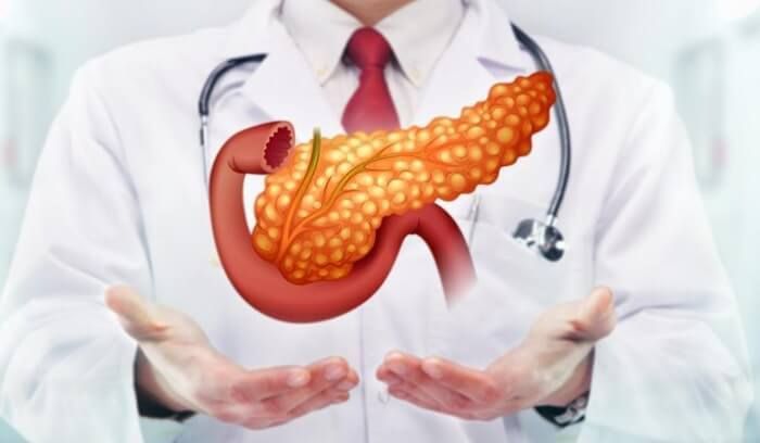 Sơ đồ minh họa các cơ quan vùng thượng vị liên quan đến cơn đau do viêm tụy mạn
