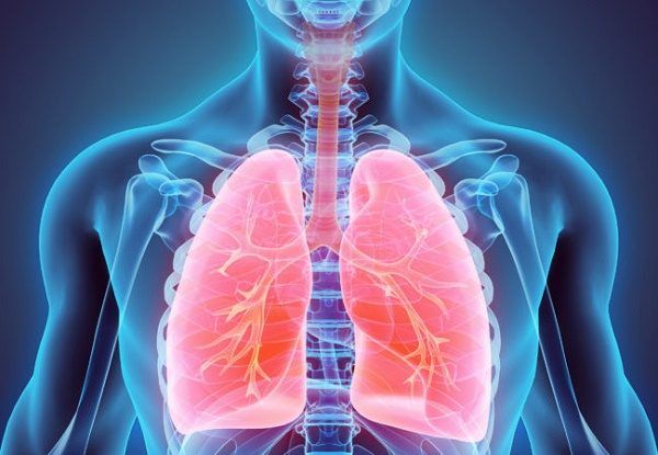 Vật lý trị liệu hô hấp hằng ngày là một phần không thể thiếu trong quy trình chăm sóc bệnh nhân xơ nang