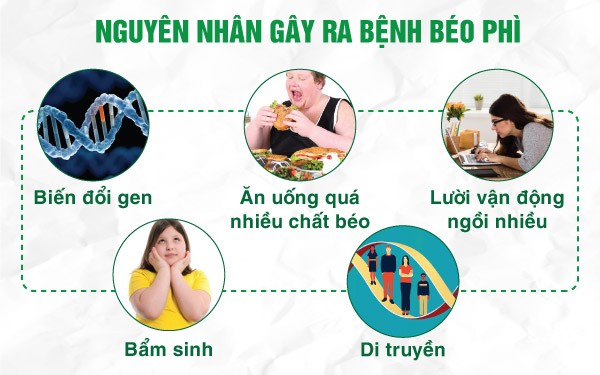 Nguyên nhân gây béo phì