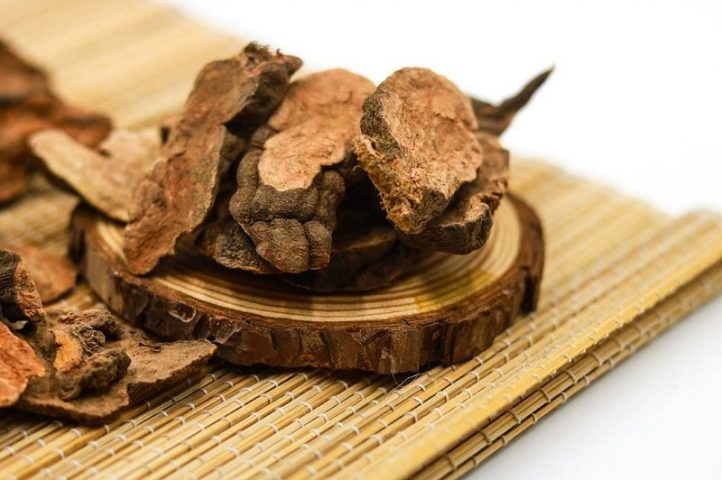 Bộ phận dùng làm thuốc của cây hà thủ ô đỏ là rễ cây