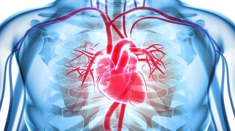 Minh hoạ về trạng thái khó thở là dấu hiệu điển hình của bệnh lý tim mạch