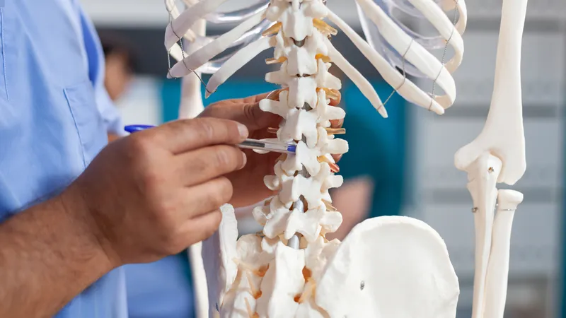 Tủy sống là phần kéo dài của não bộ nằm trong ống sống