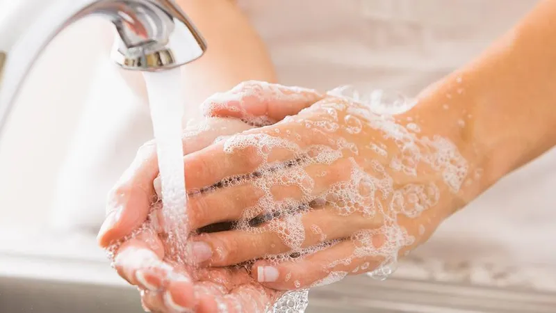 Bị gián cắn có ảnh hưởng gì?