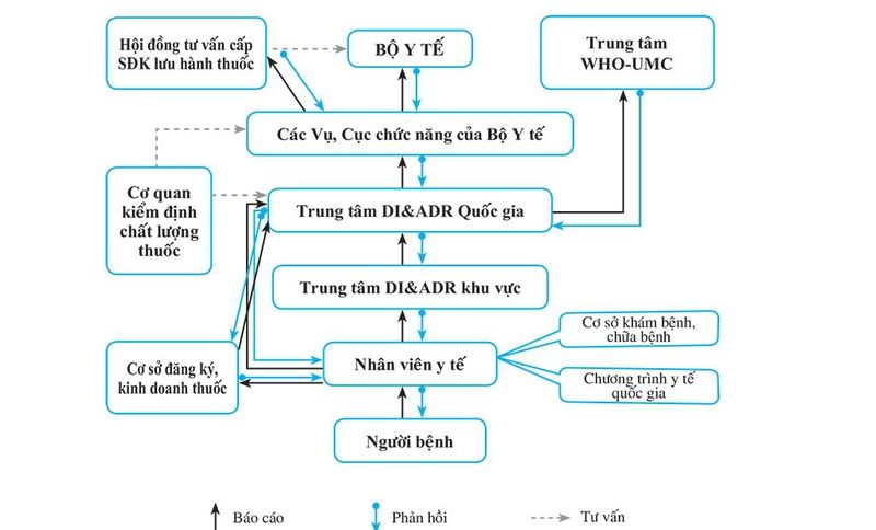 Cảnh giác dược: đảm bảo an toàn và chất lượng cho người sử dụng thuốc|||