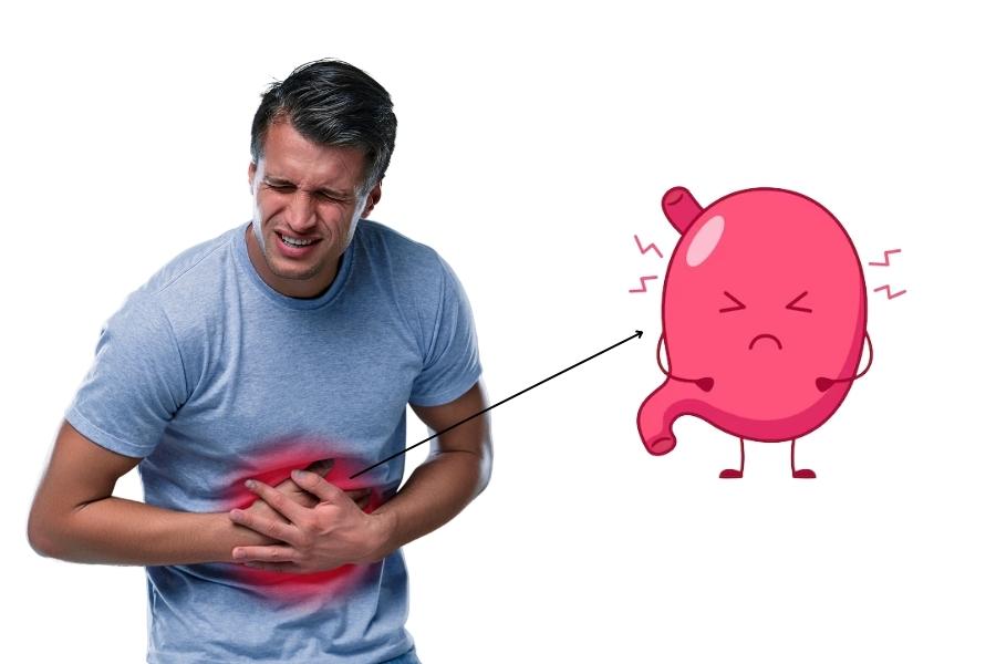 Chè dây có thể hỗ trợ điều trị viêm đau dạ dày tá tràng và ức chế xoắn khuẩn Helicobacter pylori.