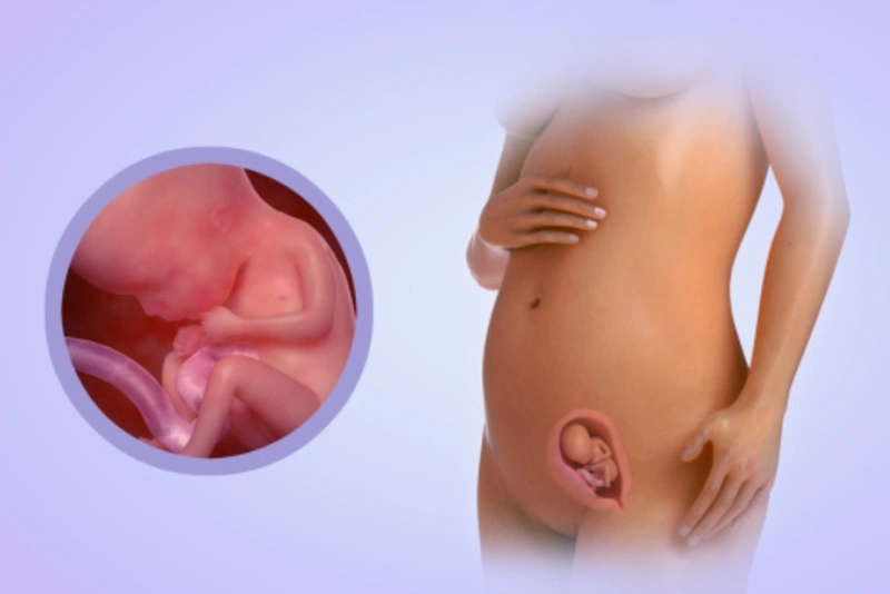 Sự thay đổi hormone ở tuần 15 có thể gây ra một số triệu chứng như nghẹt mũi hay sưng nướu