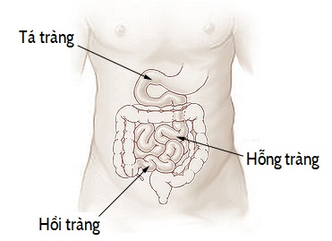 Tá Tràng nằm ở đâu