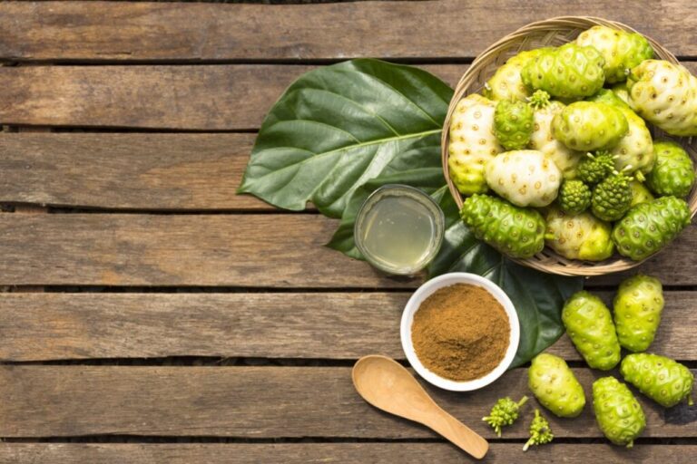 Rễ nhàu khô là vị thuốc quý trong việc hỗ trợ hạ huyết áp và giảm đau (Nguồn: Sưu tầm)