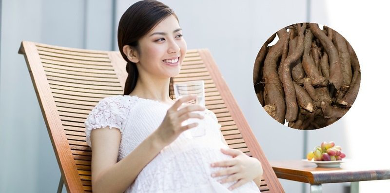 Sử dụng nước củ gai đúng cách giúp hỗ trợ an thai và ổn định sức khỏe mẹ bầu