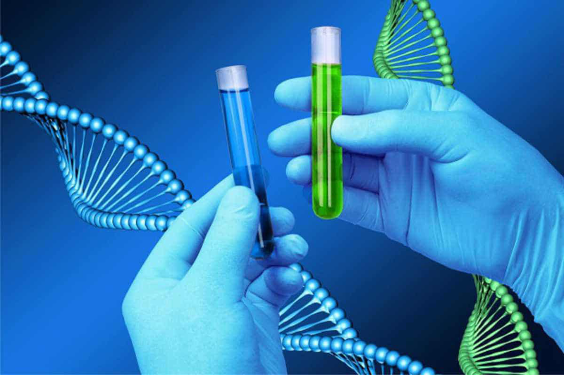 Chẩn đoán bằng PCR