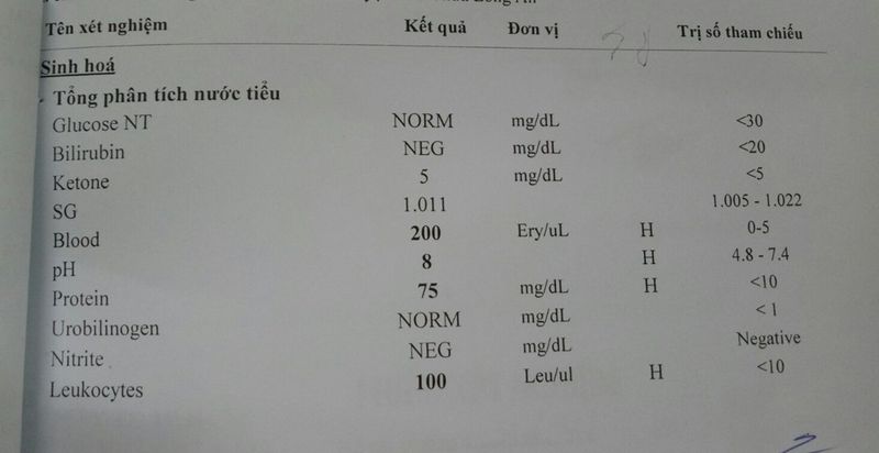 Hình minh họa xét nghiệm bệnh lý ( Nguồn: Sưu tầm)