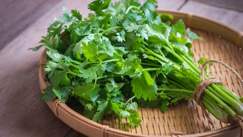 1. Tổng Quan Những Loại Rau Thơm & Rau Khác Cần Lưu Ý