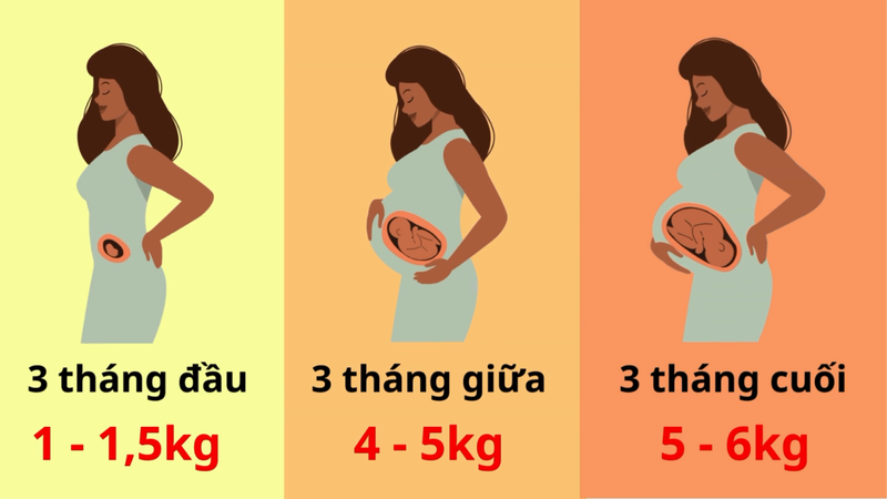 tăng cân