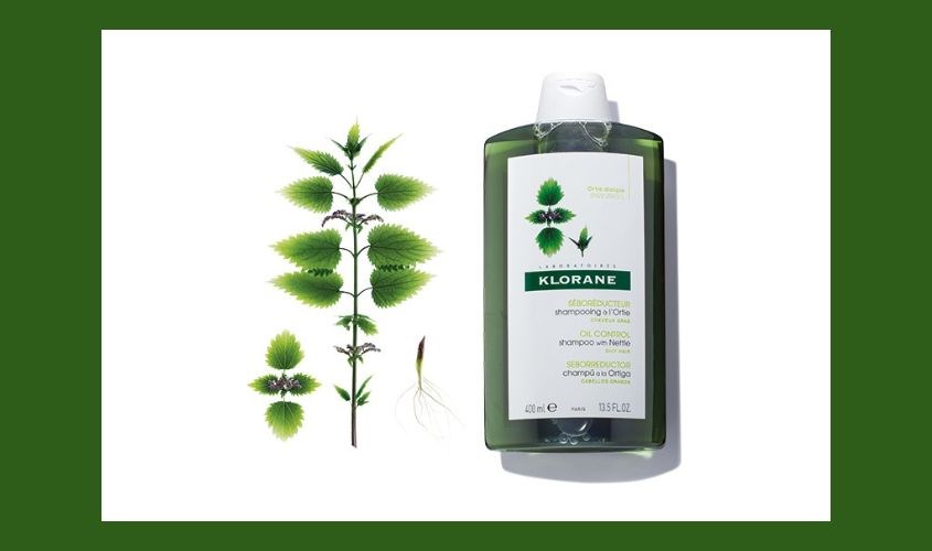 Dầu gội KLORANE Oil Control