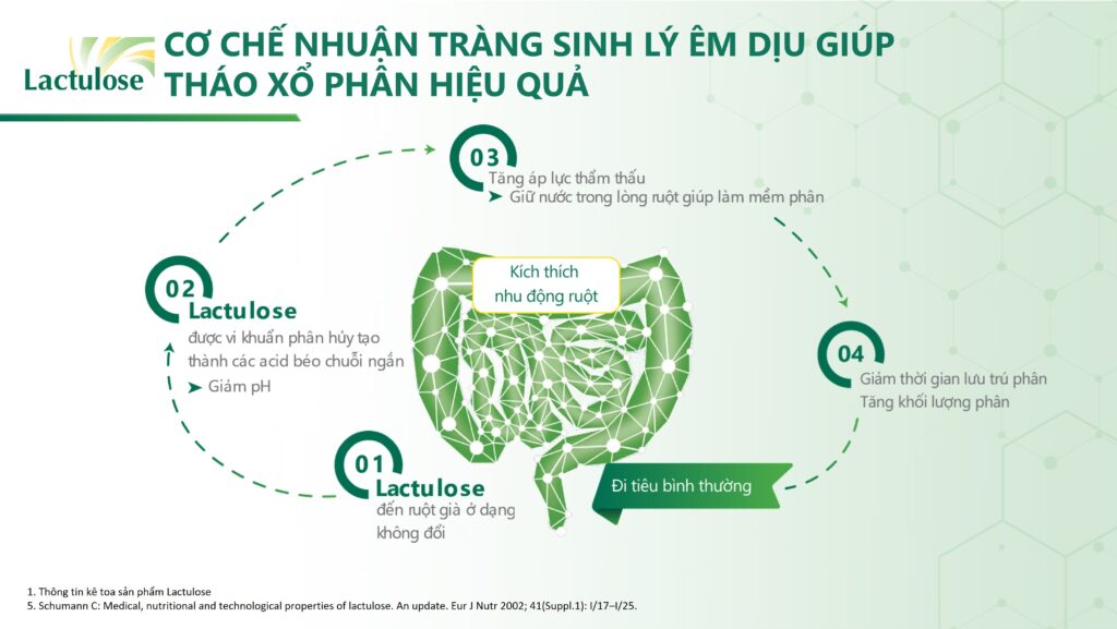 Biểu đồ phân Bristol (tình trạng phân loại 1 và 2 thể hiện trình trạng táo bón)