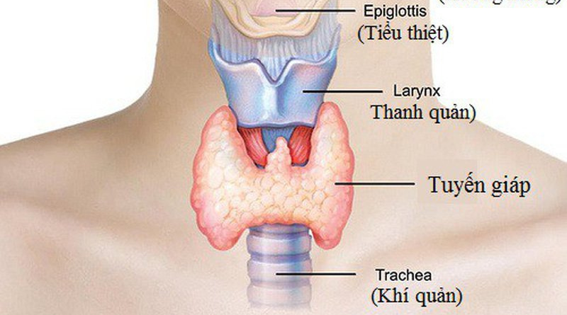 Bệnh suy giáp là gì?