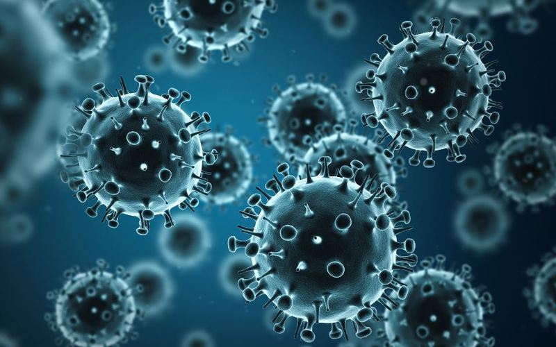 Nguyên nhân đau mắt đỏ có thể đến từ virus hay vi khuẩn