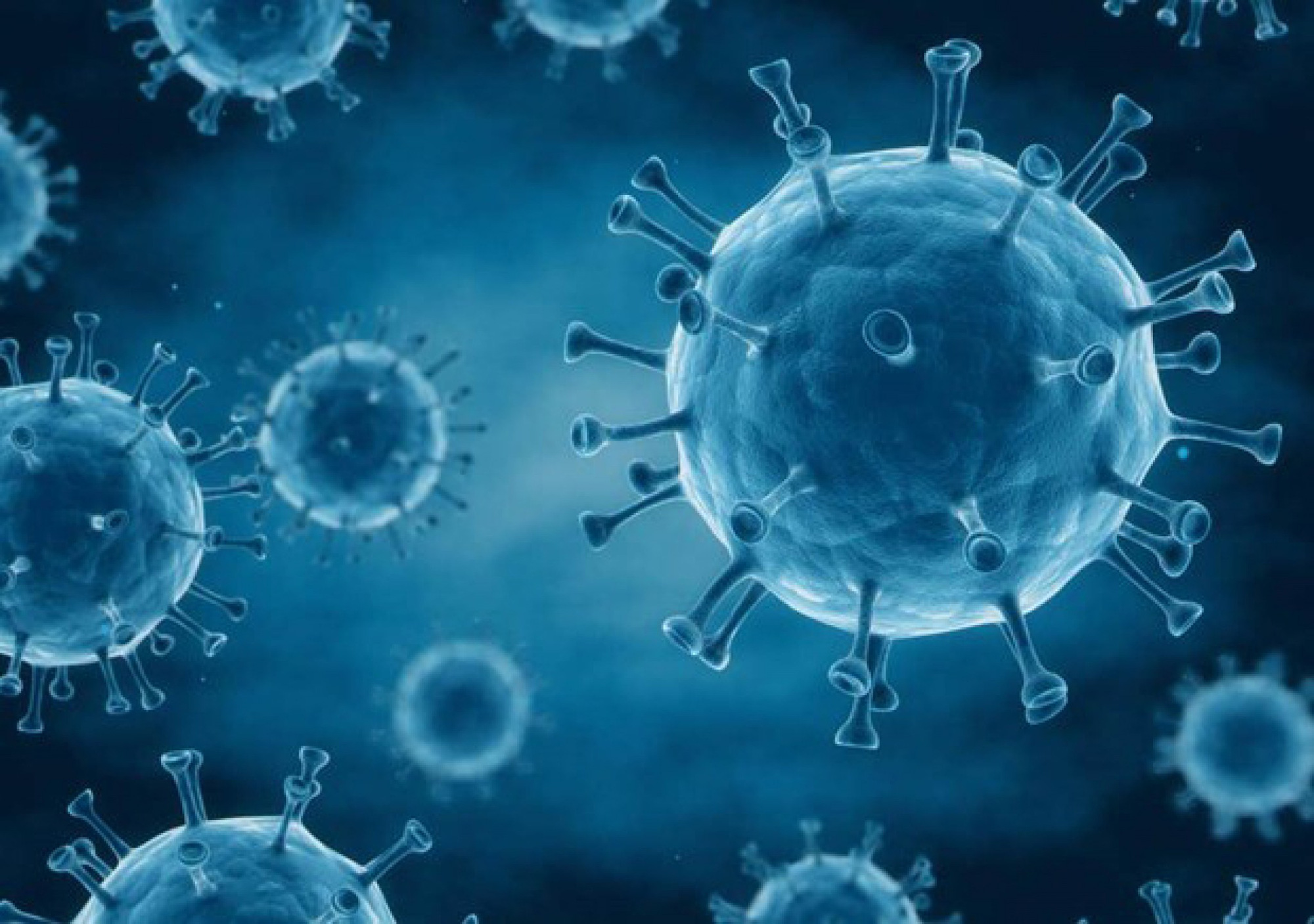 Hình ảnh virus HIV - bệnh nguy hiểm hàng đầu lây lan qua quan hệ đồng tính