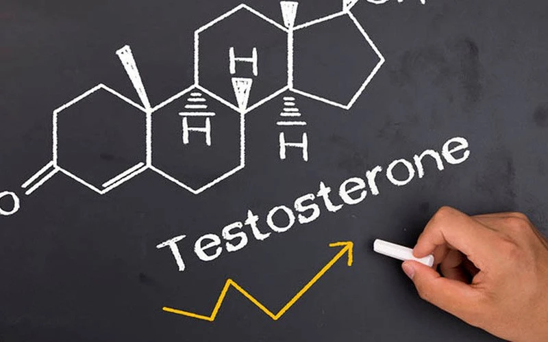 Testosterone là hormone có thể được tìm thấy ở cả cơ thể nam giới và nữ giới