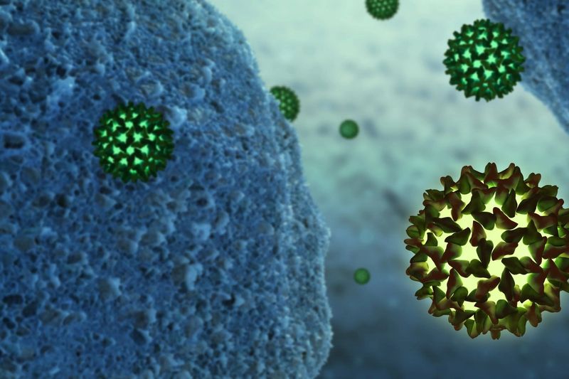 Hình ảnh virus viêm gan B của bệnh nhân
