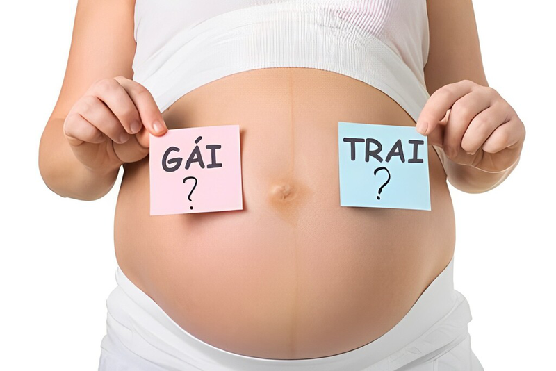 Hình minh họa xét nghiệm máu NIPT giúp xác định giới tính thai nhi từ tuần thứ 7–10
