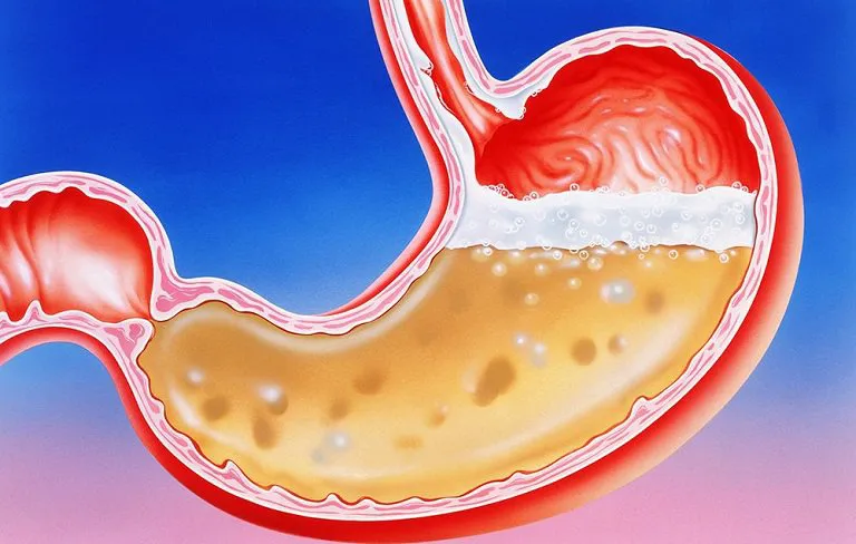 Quá trình tiết axit dạ dày được điều khiển bởi hệ thần kinh và các hormone nội tiết 