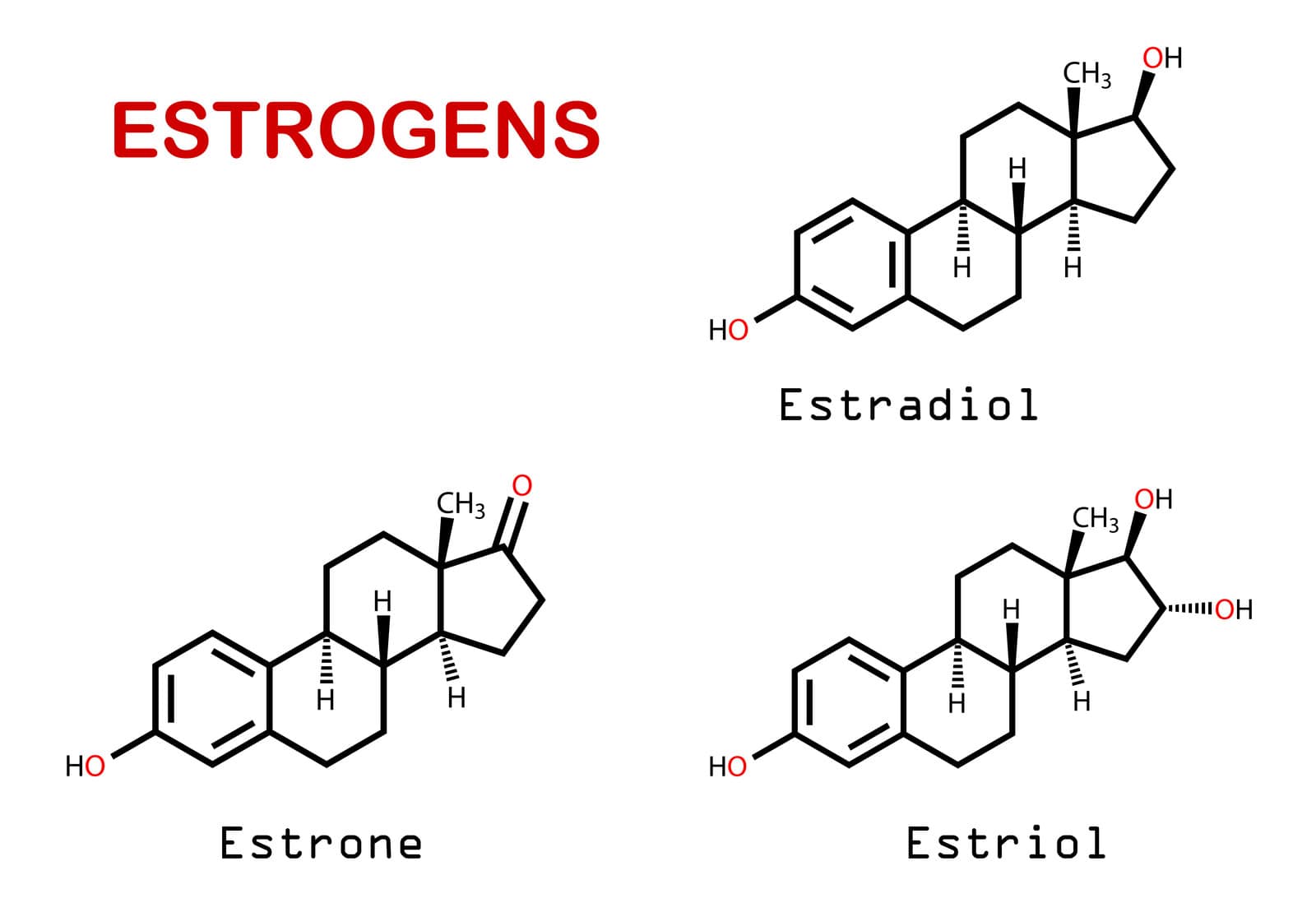 Công thức hóa học của estrogen