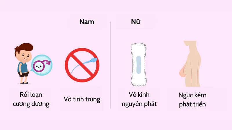 Sự mất cân bằng hormone là hệ quả thường thấy của rối loạn vùng dưới đồi 