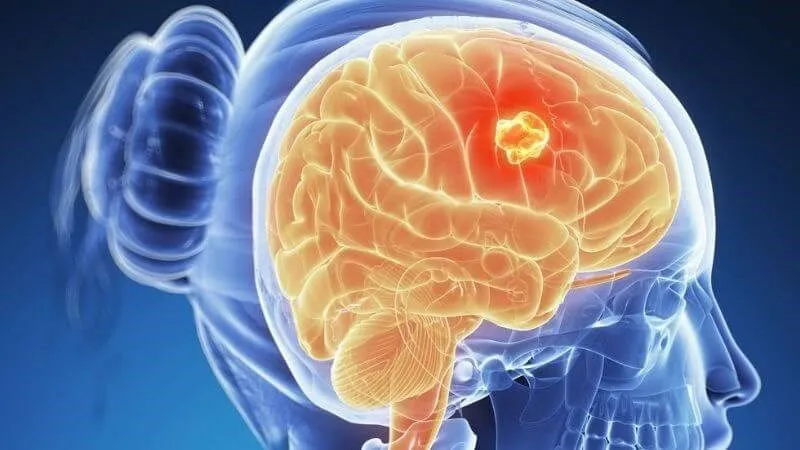 Thùy trán chiếm diện tích lớn nhất và nằm ở phía trước của bán cầu đại não 