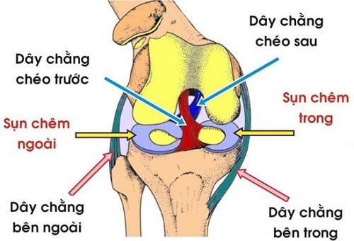 Giãn dây chằng là một trong những chấn thương phổ biến, gây ra những cơn đau nhức