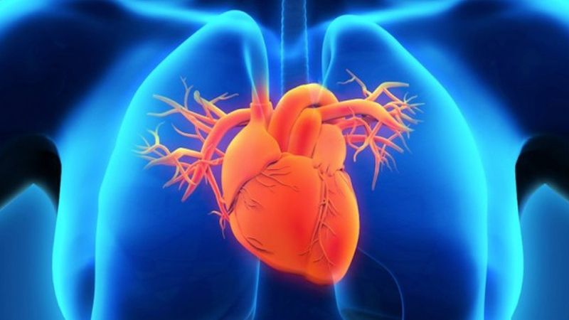 Suy tim: cơ chế, phân loại và triệu chứng