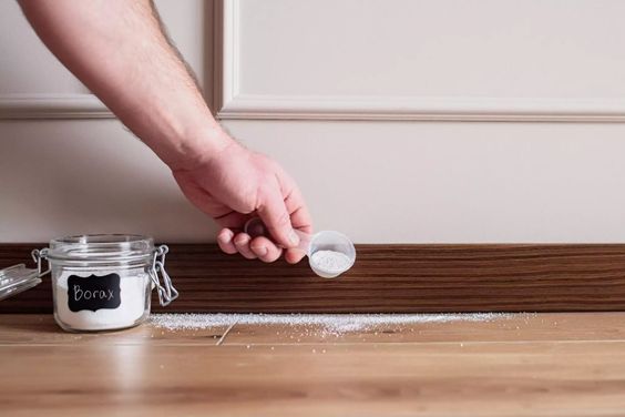 Cần thận trọng và tham khảo ý kiến chuyên gia khi sử dụng hàn the trong y tế