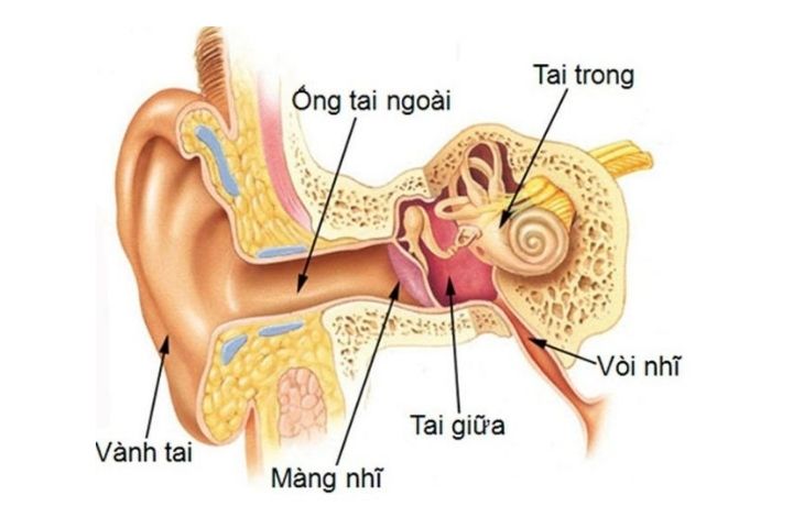 Phẫu thuật ống tai là một trong các biện pháp điều trị hẹp ống tai bên ngoài