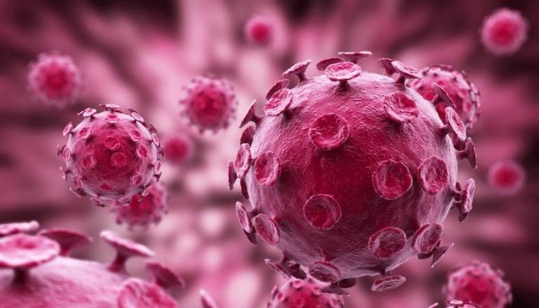 Virus HPV có nhiều chủng gây bệnh lây nhiễm qua da