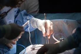 Minh hoạ về vị trí và kích thước tim ở người