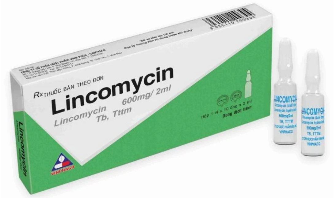 Lincomycin dung dịch tiêm 